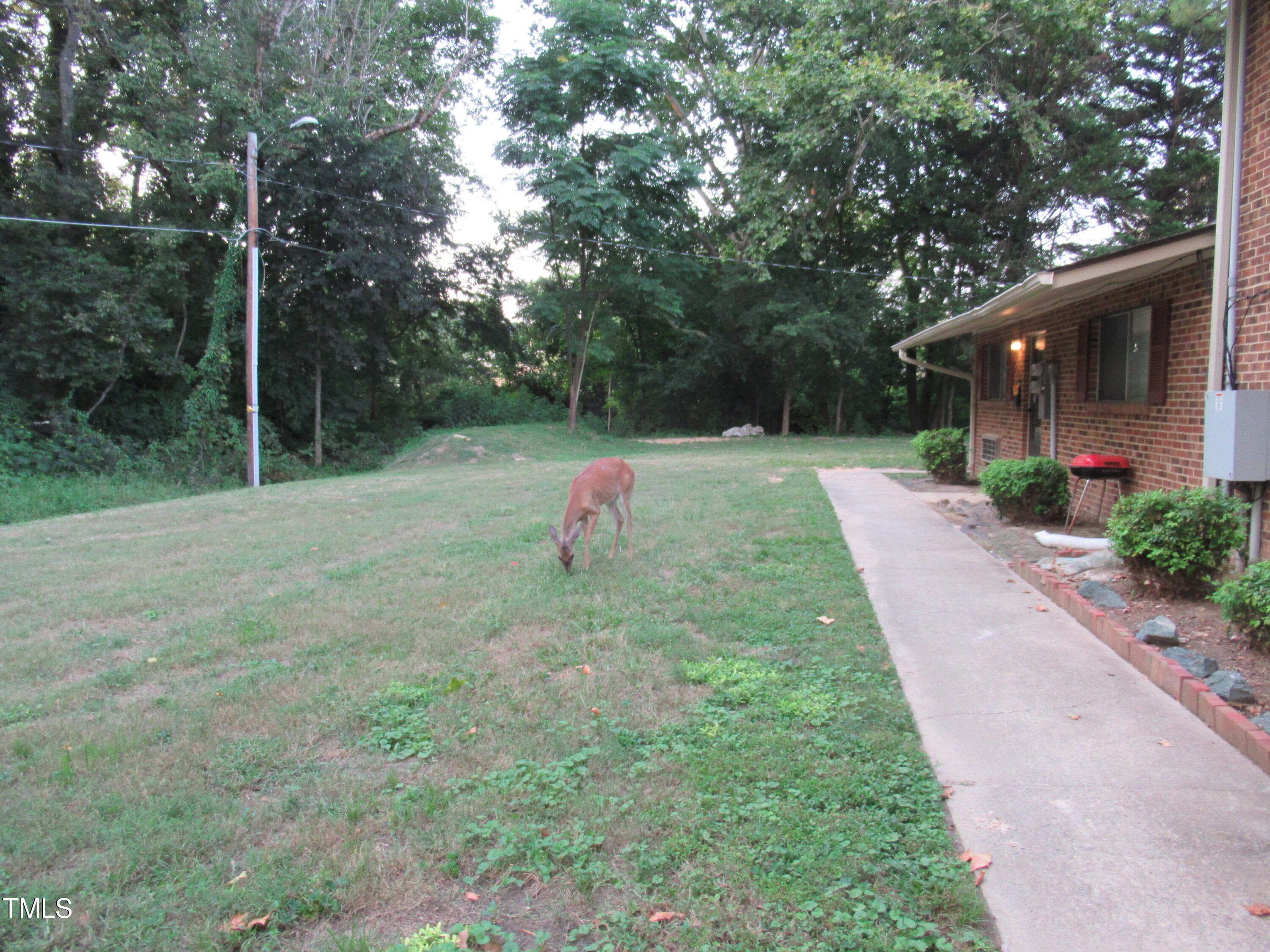 11grass1DeerBest - 130 S Estes Drive B-11, Chapel Hill, NC 27514, Chapel Hill