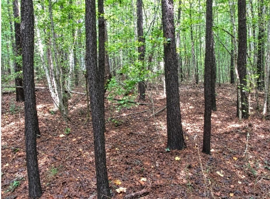 Photo 2 - 6700 Cass Holt Road, Holly Springs, NC 27540, Holly Springs