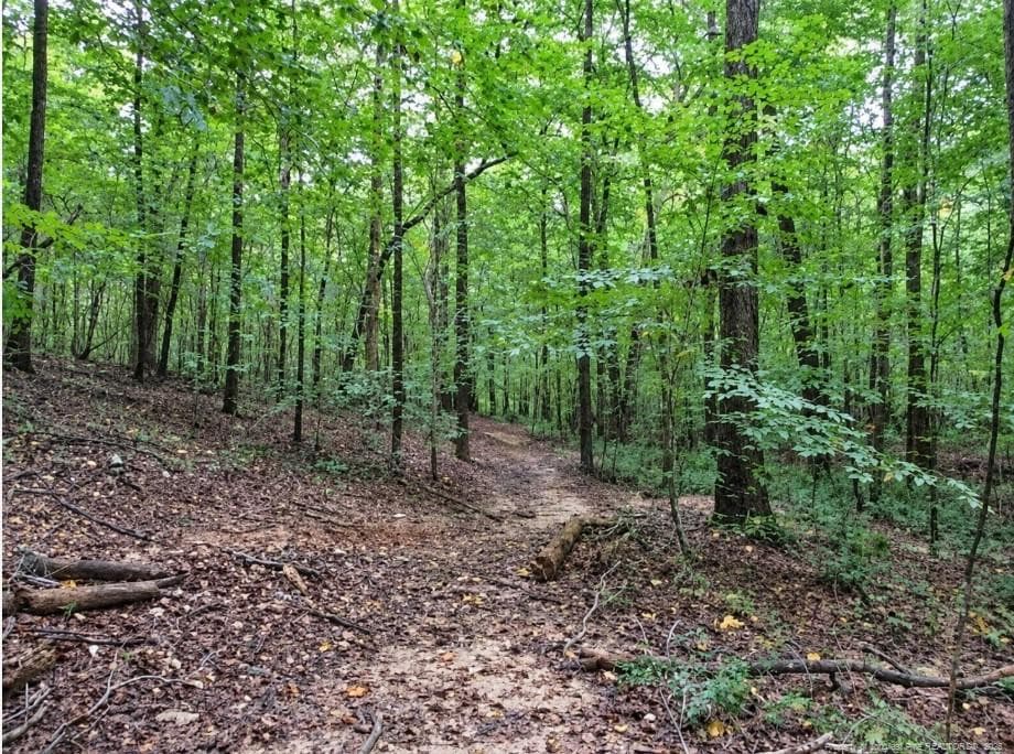 Photo 3 - 6700 Cass Holt Road, Holly Springs, NC 27540, Holly Springs