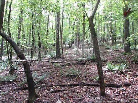 Photo 4 - 6700 Cass Holt Road, Holly Springs, NC 27540, Holly Springs