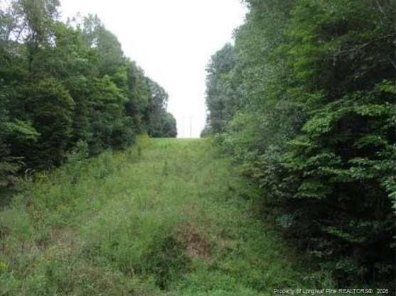 Photo 5 - 6700 Cass Holt Road, Holly Springs, NC 27540, Holly Springs