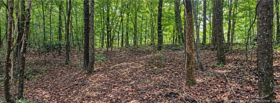 Photo 6 - 6700 Cass Holt Road, Holly Springs, NC 27540, Holly Springs