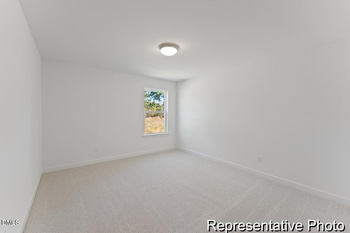 CRF 194 Abigale 2471 EC3 EO (16)_REP - 81 Cedarbranch Way 186, Erwin, NC 28339, Erwin