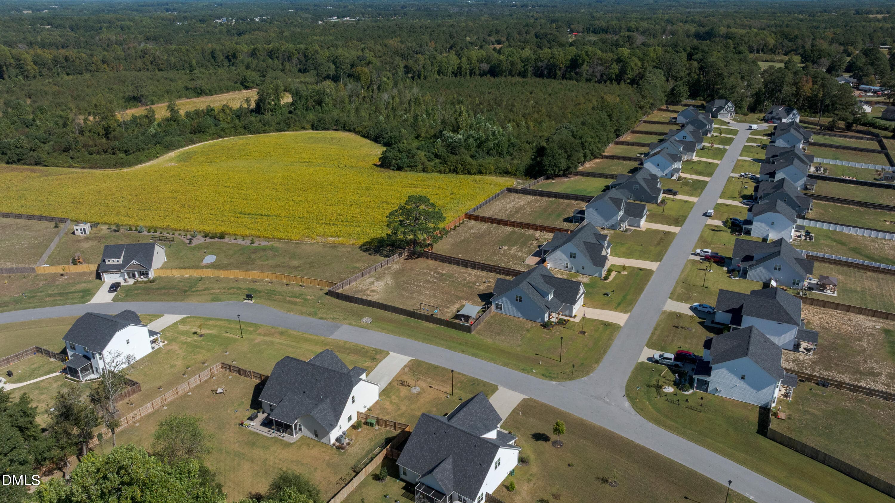 FIxed_DJI_20261012123359_0153_D - 17 Looping Horse Circle, Angier, NC 27501, Angier