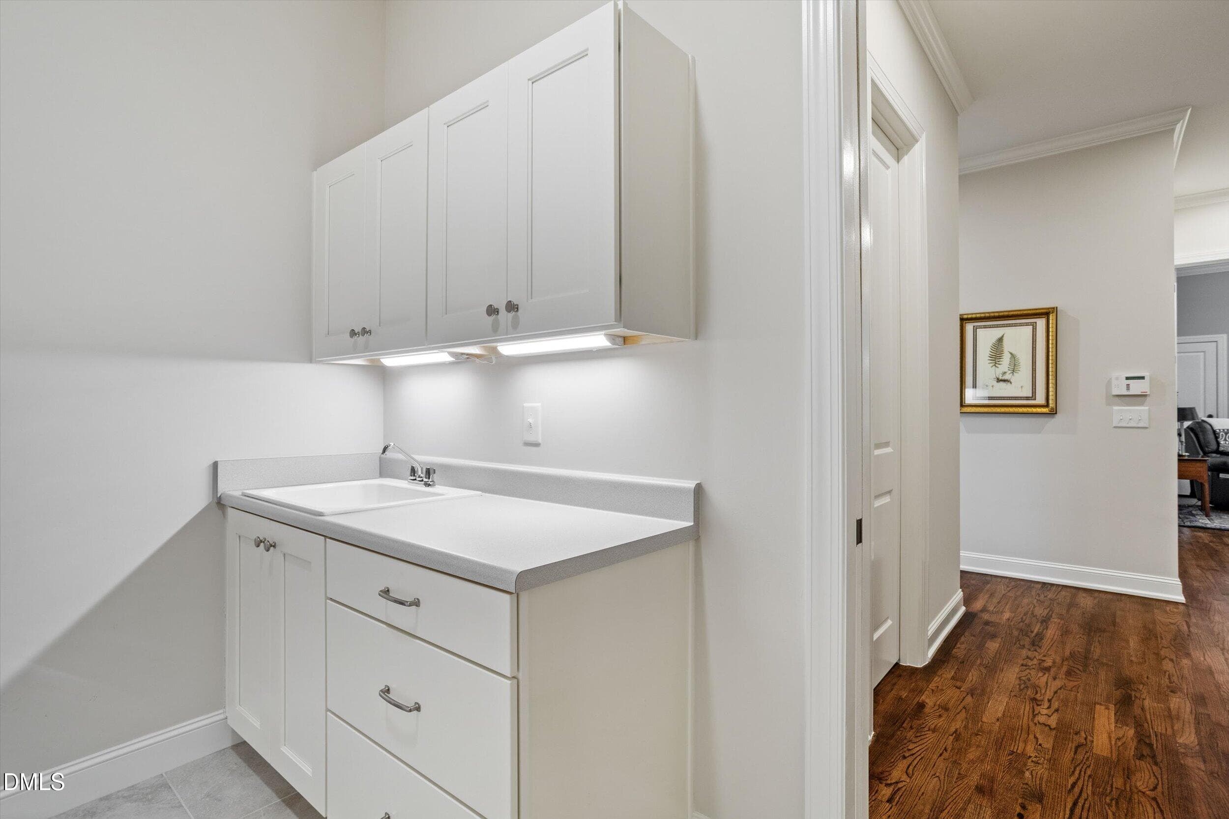 Laundry sink and storage in laundry room - 4230 Henderson Place, Pittsboro, NC 27312, Pittsboro