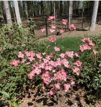 Blooming Dogwood - 4230 Henderson Place, Pittsboro, NC 27312, Pittsboro