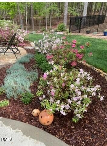 patio garden 2 - 4230 Henderson Place, Pittsboro, NC 27312, Pittsboro
