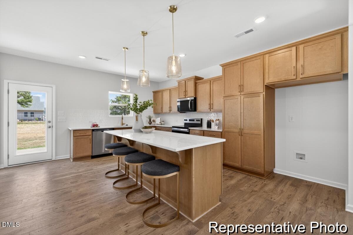 BSV 157 TA3000 2982 ED1 IO (5)-05REP - 97 Open Meadow Court 74, Lillington, NC 27546, Lillington