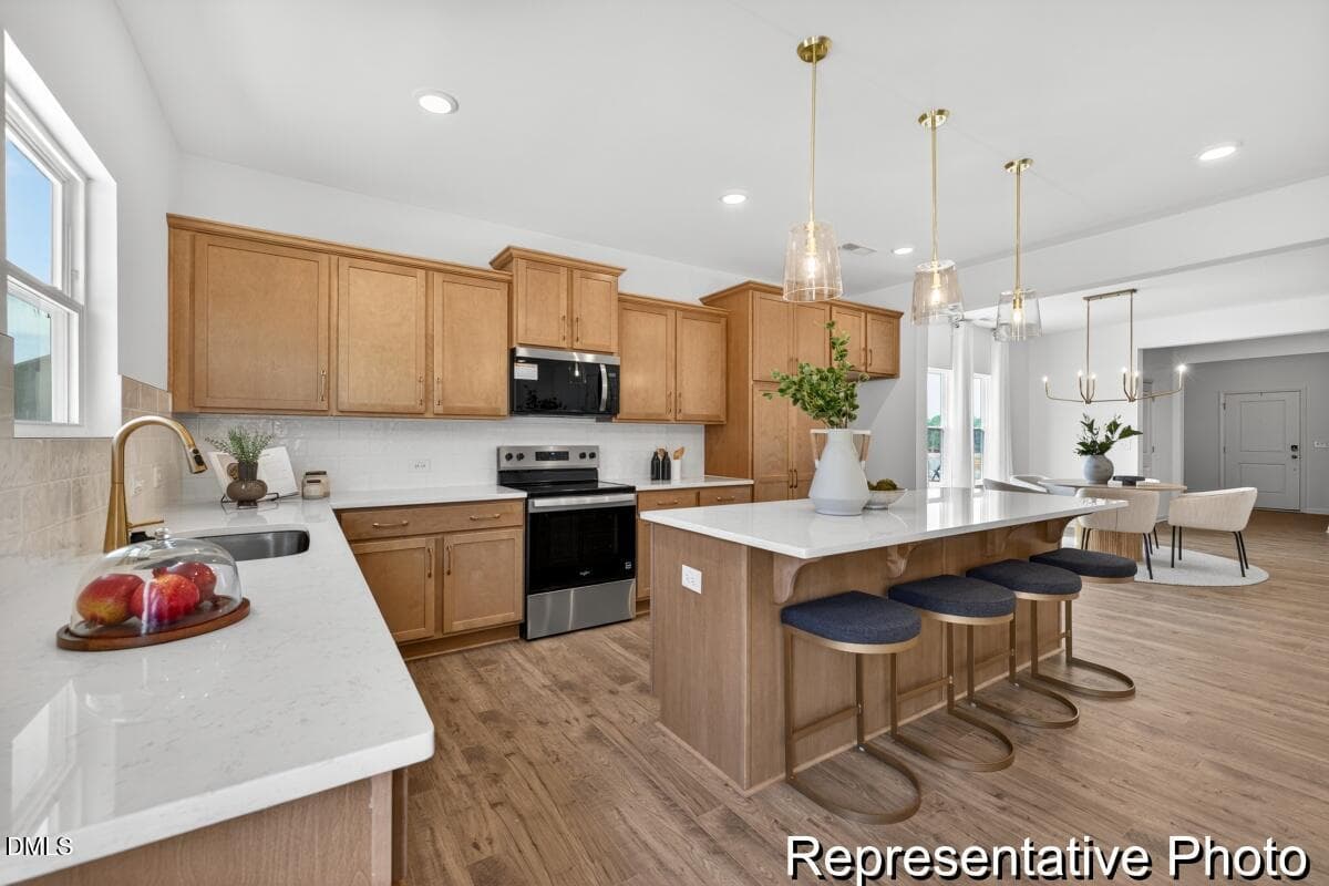 BSV 157 TA3000 2982 ED1 IO (6)-06REP - 97 Open Meadow Court 74, Lillington, NC 27546, Lillington