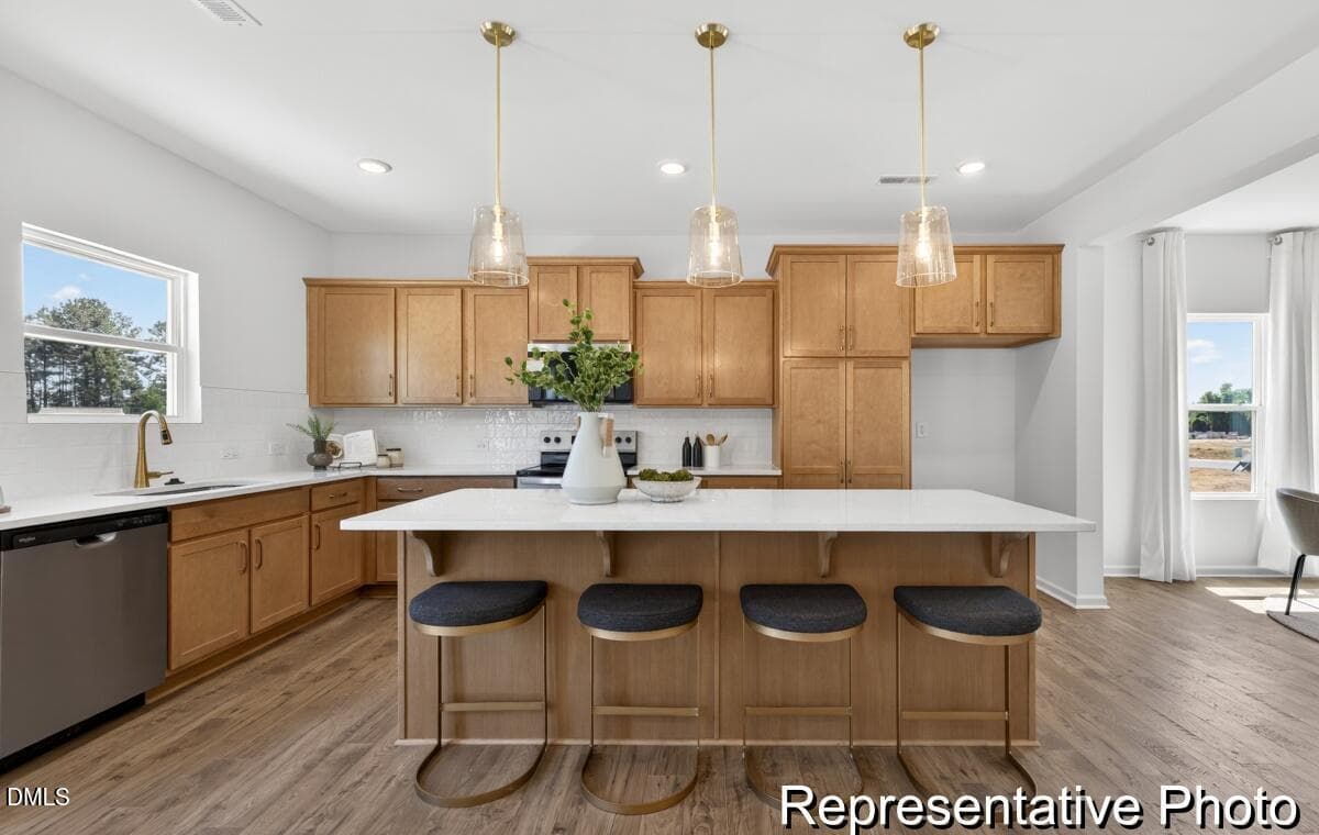 BSV 157 TA3000 2982 ED1 IO (8)-08REP - 97 Open Meadow Court 74, Lillington, NC 27546, Lillington