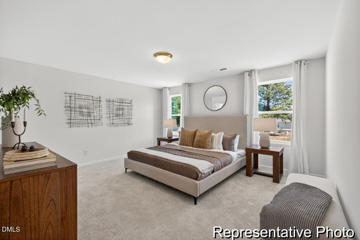 BSV 157 TA3000 2982 ED1 IO (14)-14REP - 97 Open Meadow Court 74, Lillington, NC 27546, Lillington