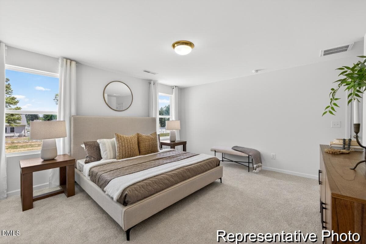 BSV 157 TA3000 2982 ED1 IO (15)-15REP - 97 Open Meadow Court 74, Lillington, NC 27546, Lillington