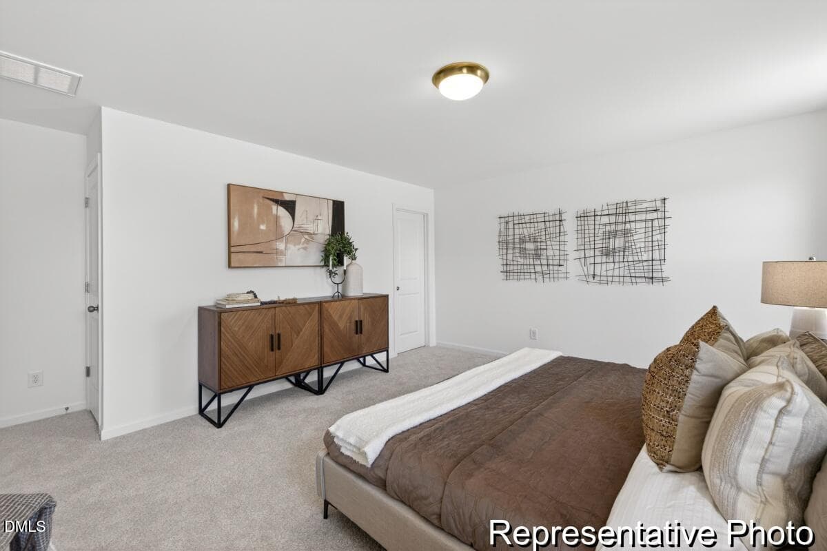 BSV 157 TA3000 2982 ED1 IO (16)-16REP - 97 Open Meadow Court 74, Lillington, NC 27546, Lillington