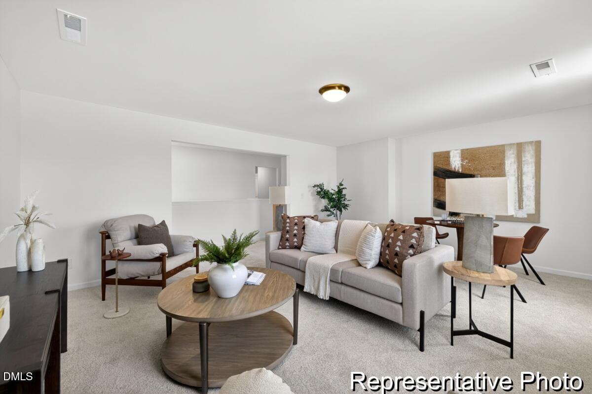 BSV 157 TA3000 2982 ED1 IO (22)-22REP - 97 Open Meadow Court 74, Lillington, NC 27546, Lillington