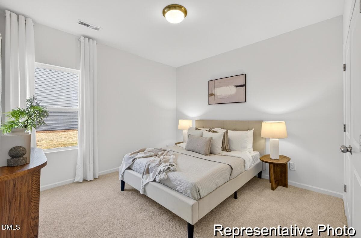 BSV 157 TA3000 2982 ED1 IO (23)-23REP - 97 Open Meadow Court 74, Lillington, NC 27546, Lillington