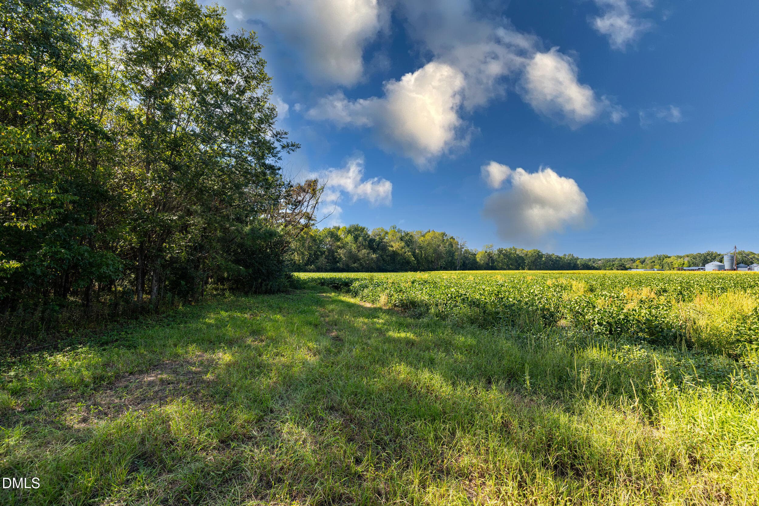 HN9A0059_pro_2500x1667 - 3053 Draughn Road, Tarboro, NC 27886, Tarboro