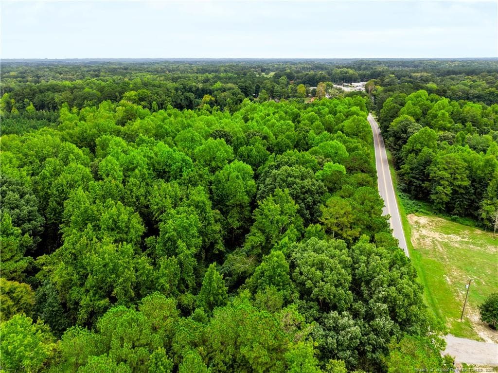 Photo 10 - tbd @ 8 acres Swanns Station Road, Sanford, NC 27332, Sanford