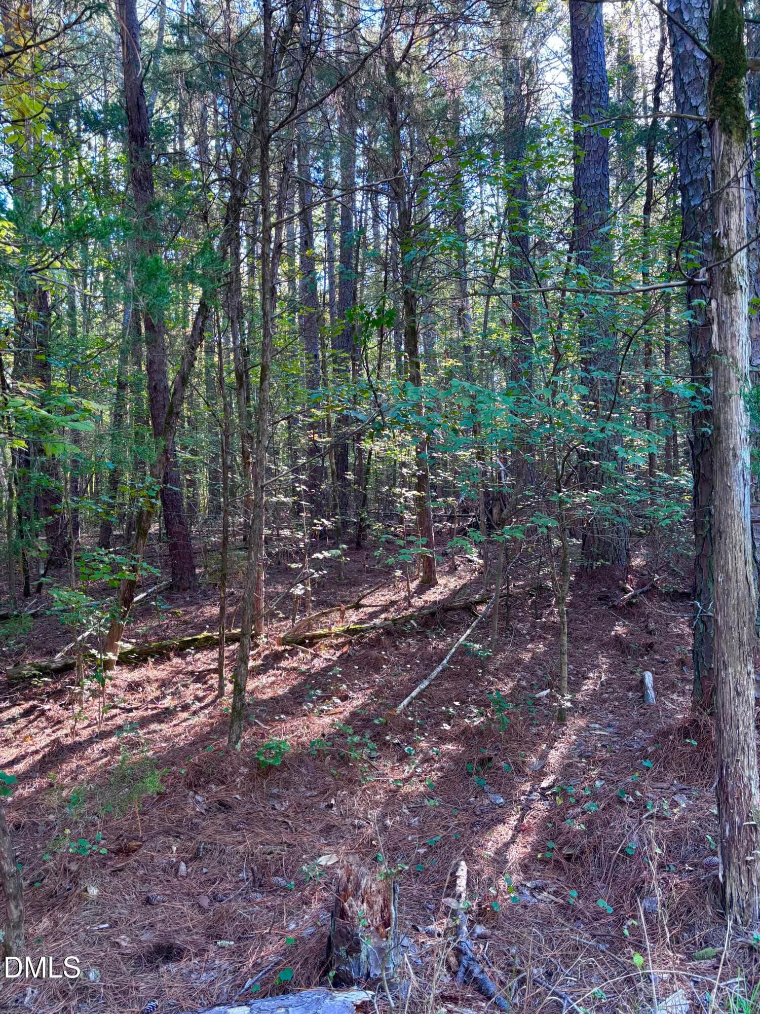 IMG_7396 - 0 Pool Rock Plantation Lane, Henderson, NC 27537, Henderson
