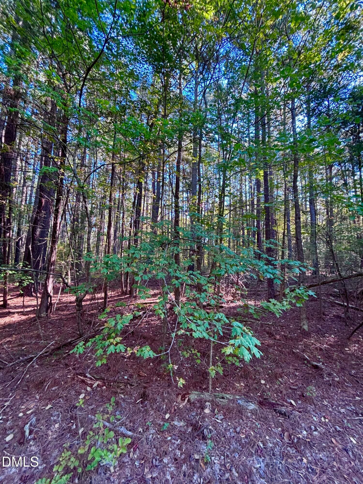 IMG_7399 - 0 Pool Rock Plantation Lane, Henderson, NC 27537, Henderson