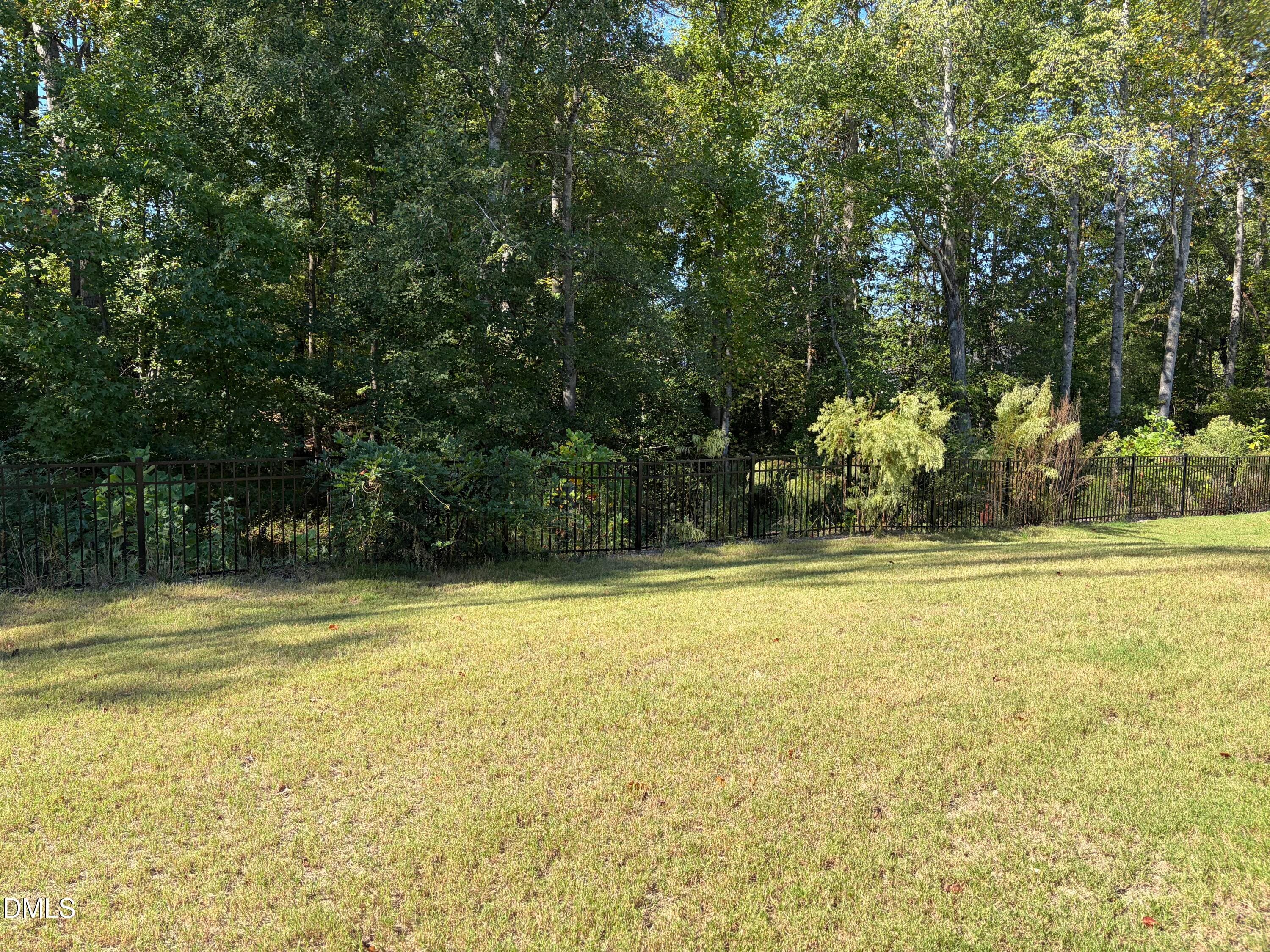 Rear Yard - 2405 Tobacco Root Drive, Raleigh, NC 27616, Raleigh