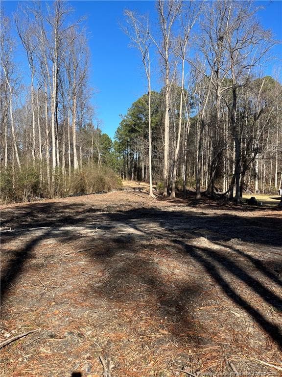 Photo 3 - 7122 Lytteton Drive, Fayetteville, NC 28311, Fayetteville