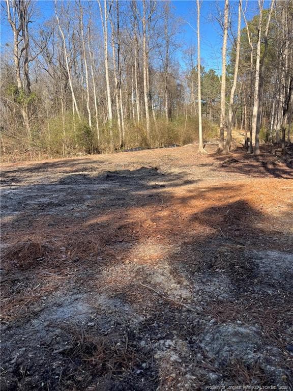 Photo 4 - 7122 Lytteton Drive, Fayetteville, NC 28311, Fayetteville