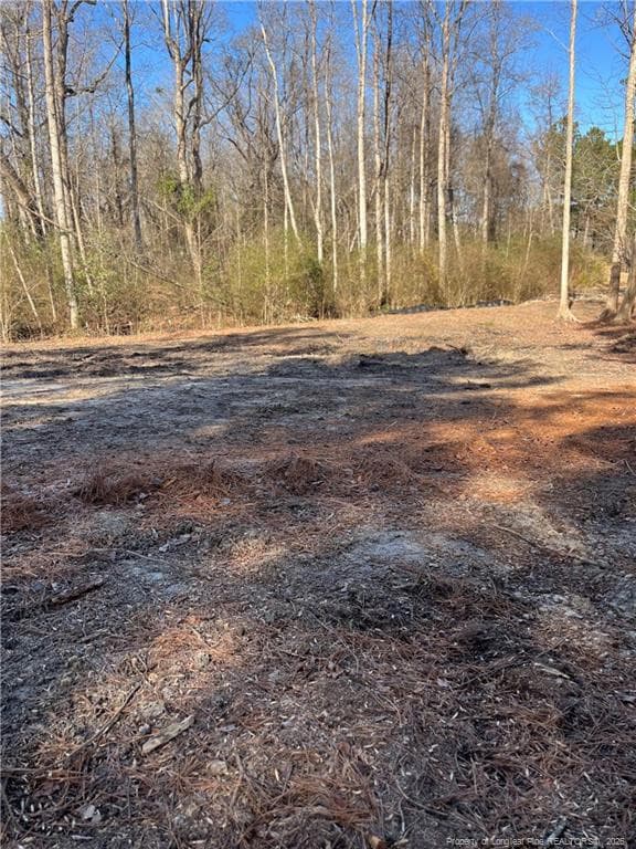 Photo 5 - 7122 Lytteton Drive, Fayetteville, NC 28311, Fayetteville