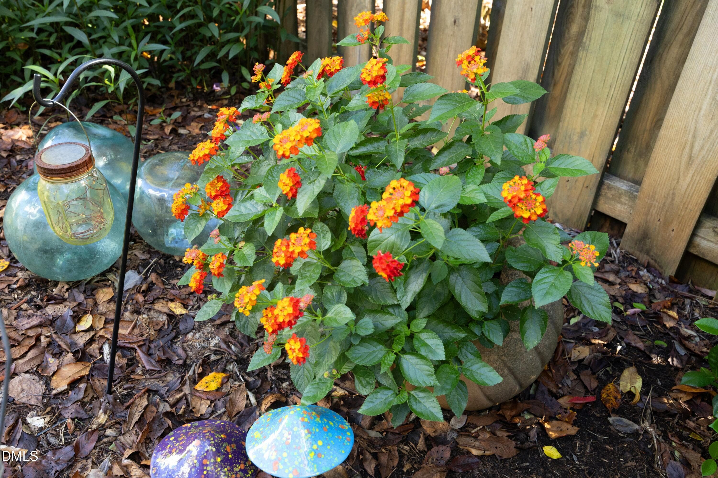 38BackFlowers - 8900 Castleton Lane, Raleigh, NC 27615, Raleigh