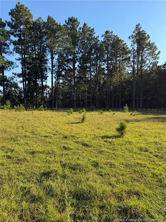 Photo 16 - 690 Poole Road, Raeford, NC 28376