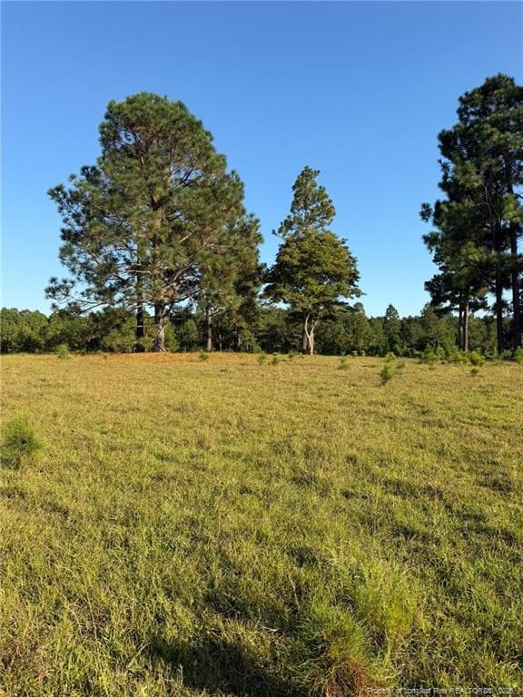 Photo 17 - 690 Poole Road, Raeford, NC 28376