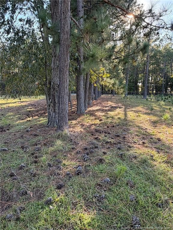 Photo 20 - 690 Poole Road, Raeford, NC 28376
