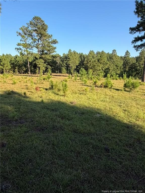 Photo 21 - 690 Poole Road, Raeford, NC 28376