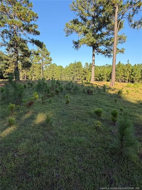 Photo 22 - 690 Poole Road, Raeford, NC 28376