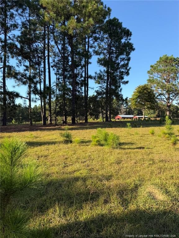 Photo 23 - 690 Poole Road, Raeford, NC 28376