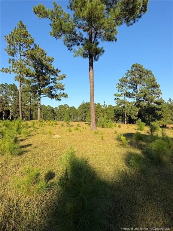 Photo 24 - 690 Poole Road, Raeford, NC 28376