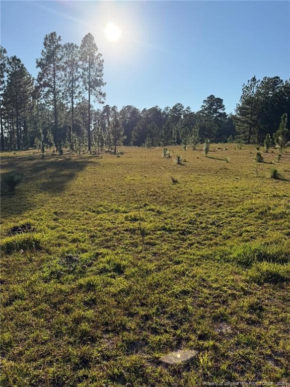 Photo 26 - 690 Poole Road, Raeford, NC 28376