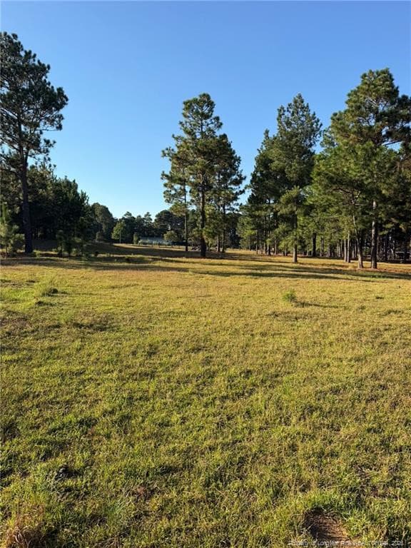Photo 27 - 690 Poole Road, Raeford, NC 28376