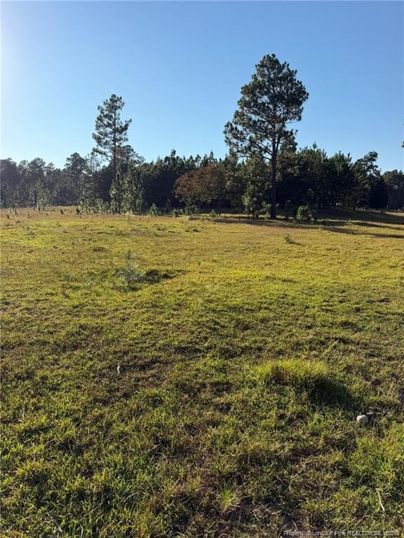 Photo 28 - 690 Poole Road, Raeford, NC 28376