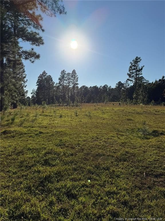 Photo 29 - 690 Poole Road, Raeford, NC 28376