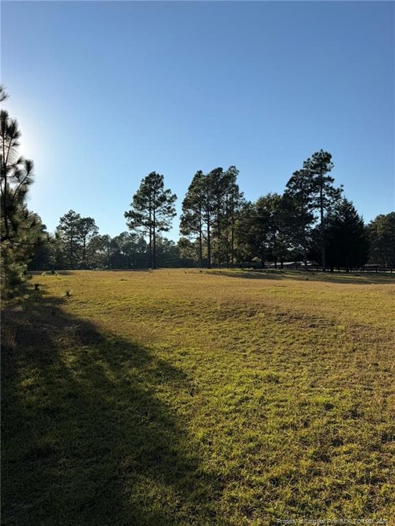 Photo 32 - 690 Poole Road, Raeford, NC 28376