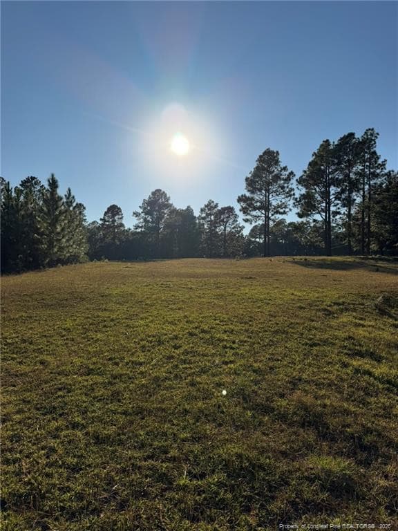 Photo 33 - 690 Poole Road, Raeford, NC 28376