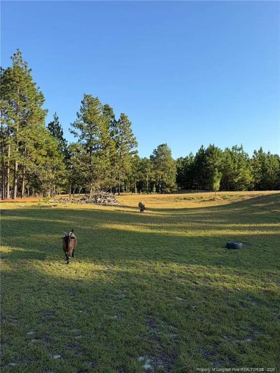 Photo 34 - 690 Poole Road, Raeford, NC 28376