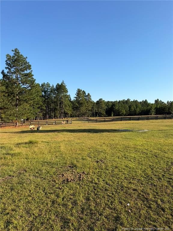 Photo 35 - 690 Poole Road, Raeford, NC 28376