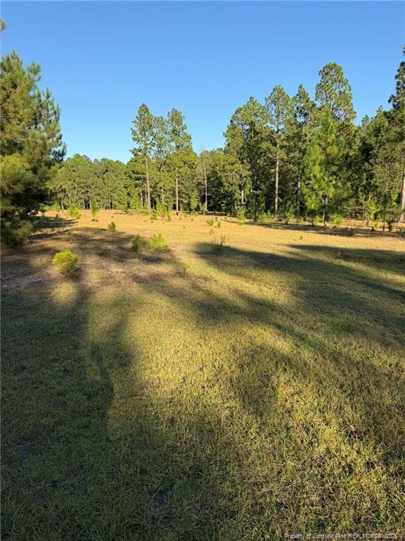 Photo 42 - 690 Poole Road, Raeford, NC 28376