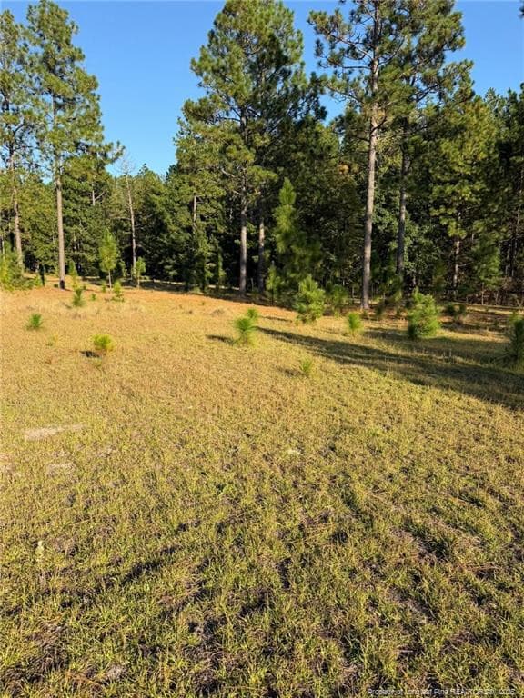 Photo 43 - 690 Poole Road, Raeford, NC 28376