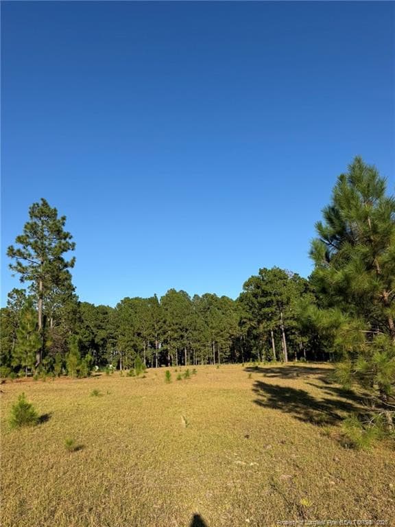 Photo 44 - 690 Poole Road, Raeford, NC 28376