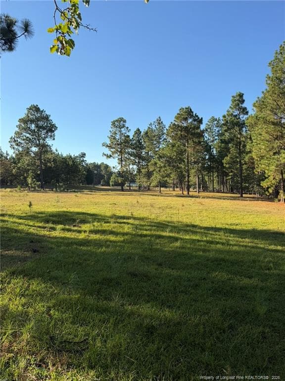 Photo 46 - 690 Poole Road, Raeford, NC 28376