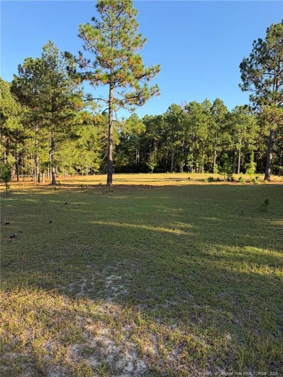 Photo 47 - 690 Poole Road, Raeford, NC 28376