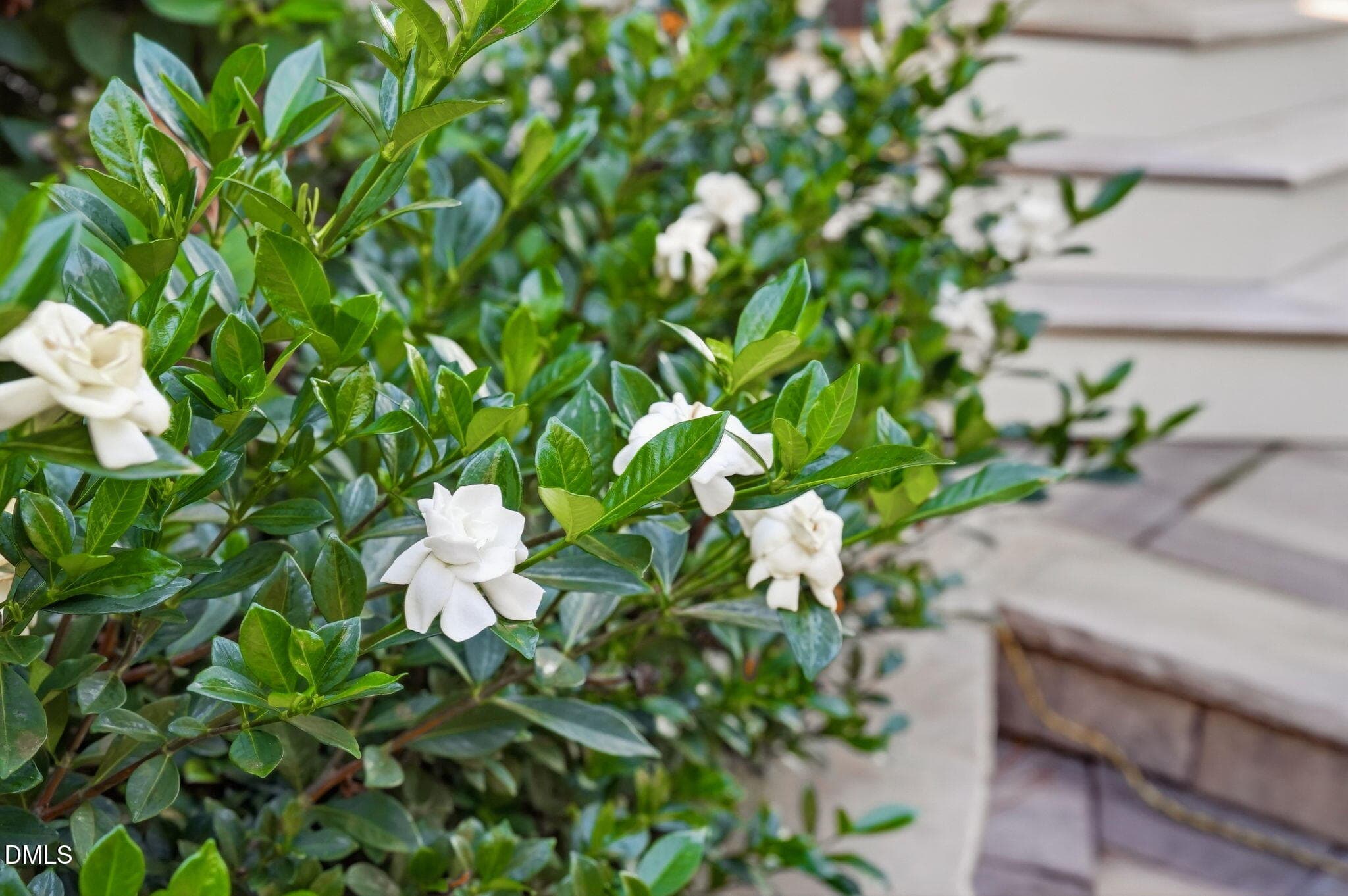181 Seaforth Landing Drive-108 - 181 Seaforth Landing Drive, Pittsboro, NC 27312, Pittsboro