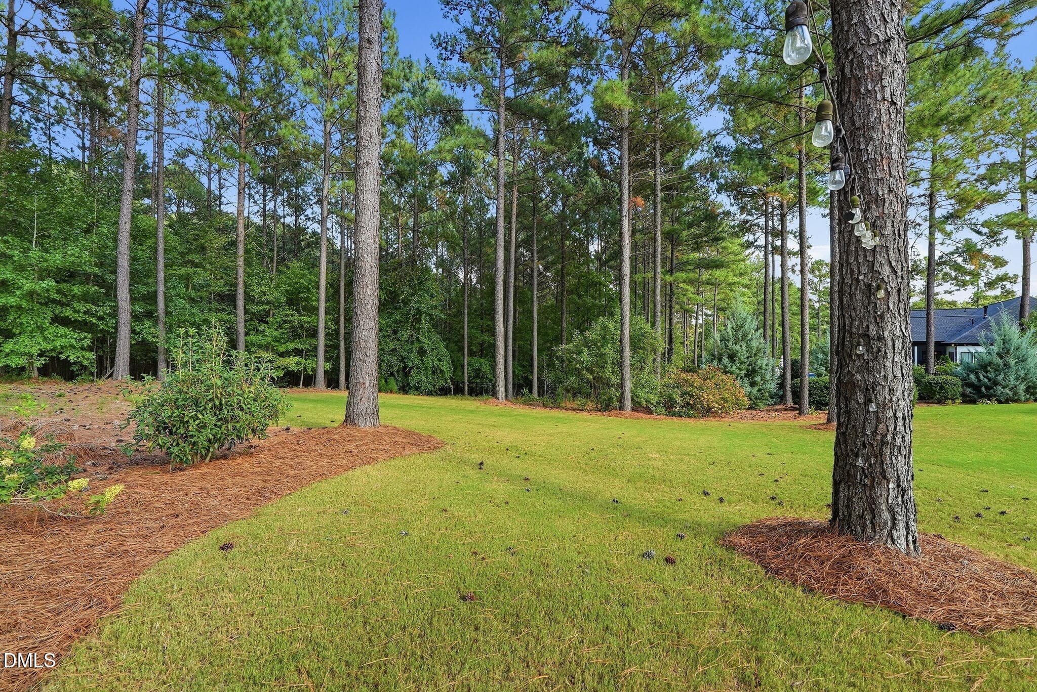 181 Seaforth Landing Drive-124 - 181 Seaforth Landing Drive, Pittsboro, NC 27312, Pittsboro